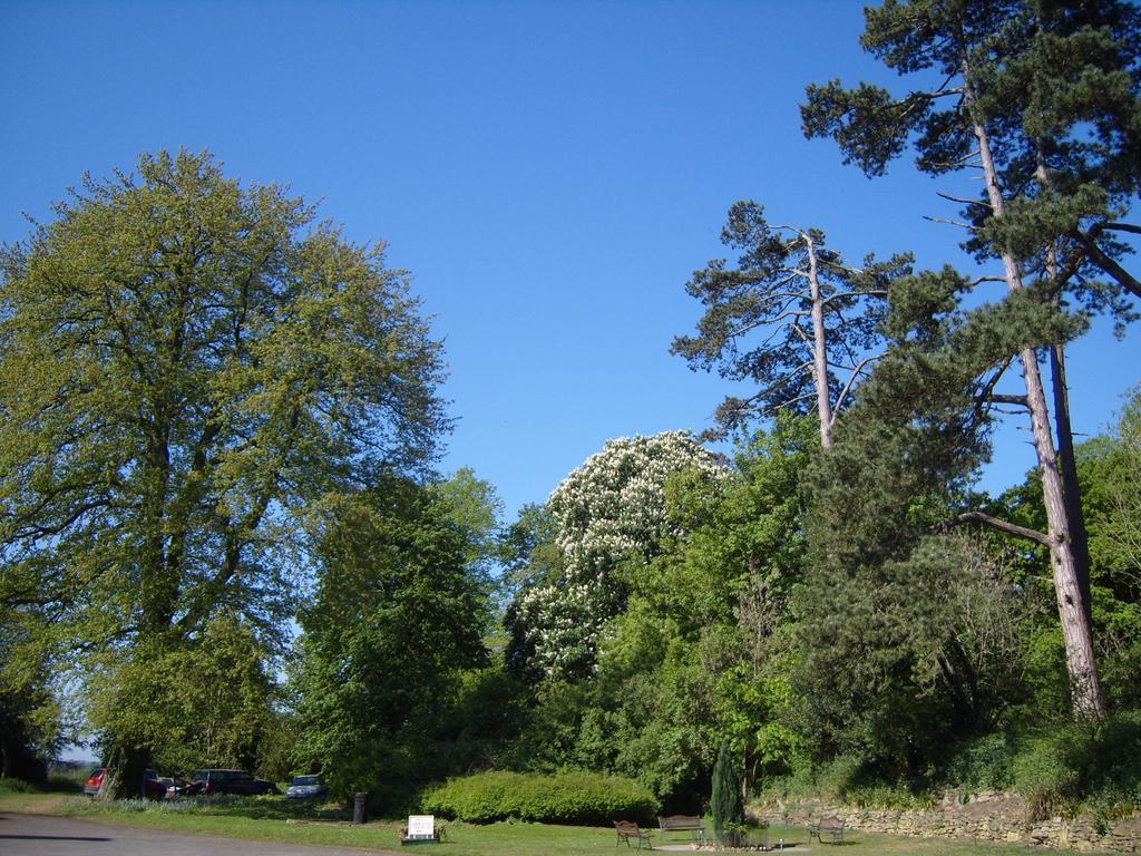 Cleeve House Bed & Breakfast Melksham Room photo